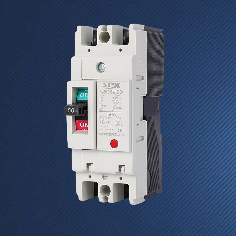 Perché scegliere un interruttore automatico scatolato 2P 63A per le tue esigenze elettriche