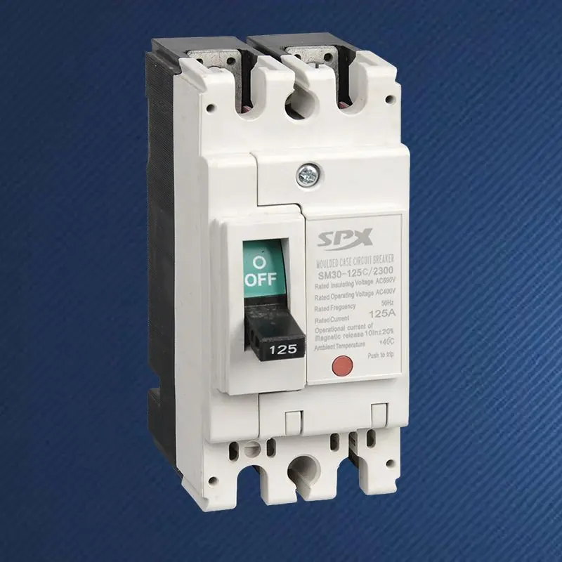 Interruttore automatico scatolato 2P 125A